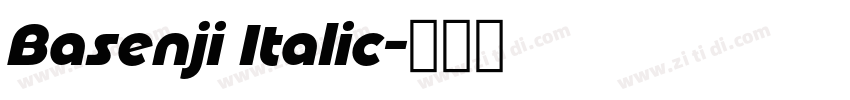 Basenji Italic字体转换
